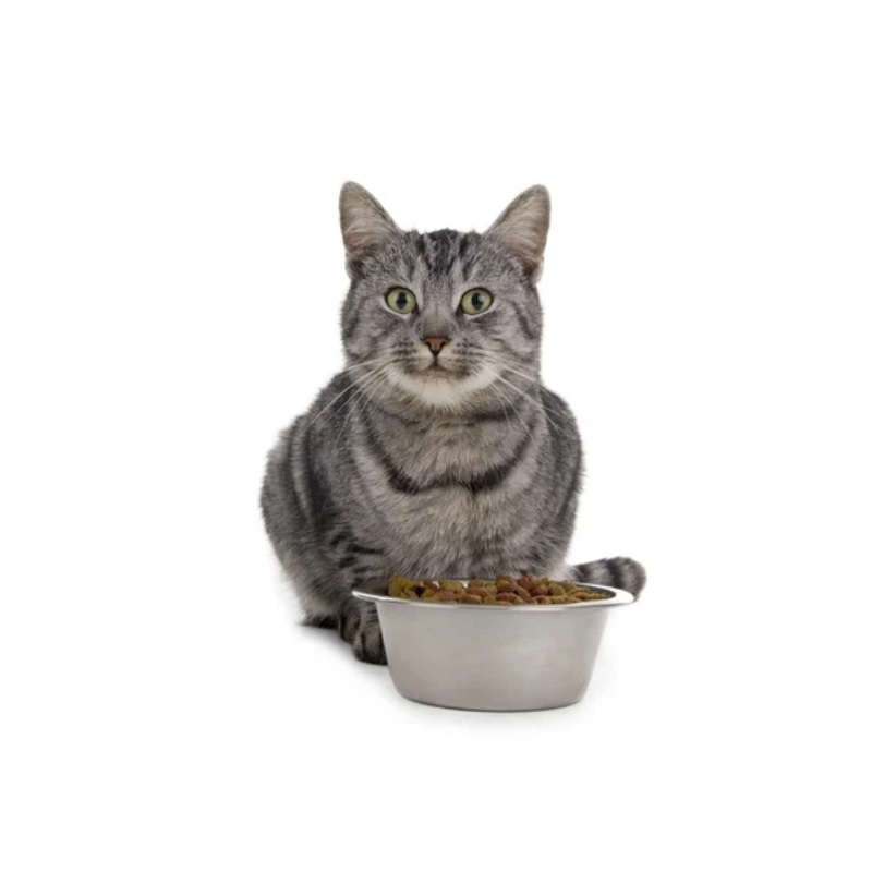 icono portada de alimentos y snacks gatos