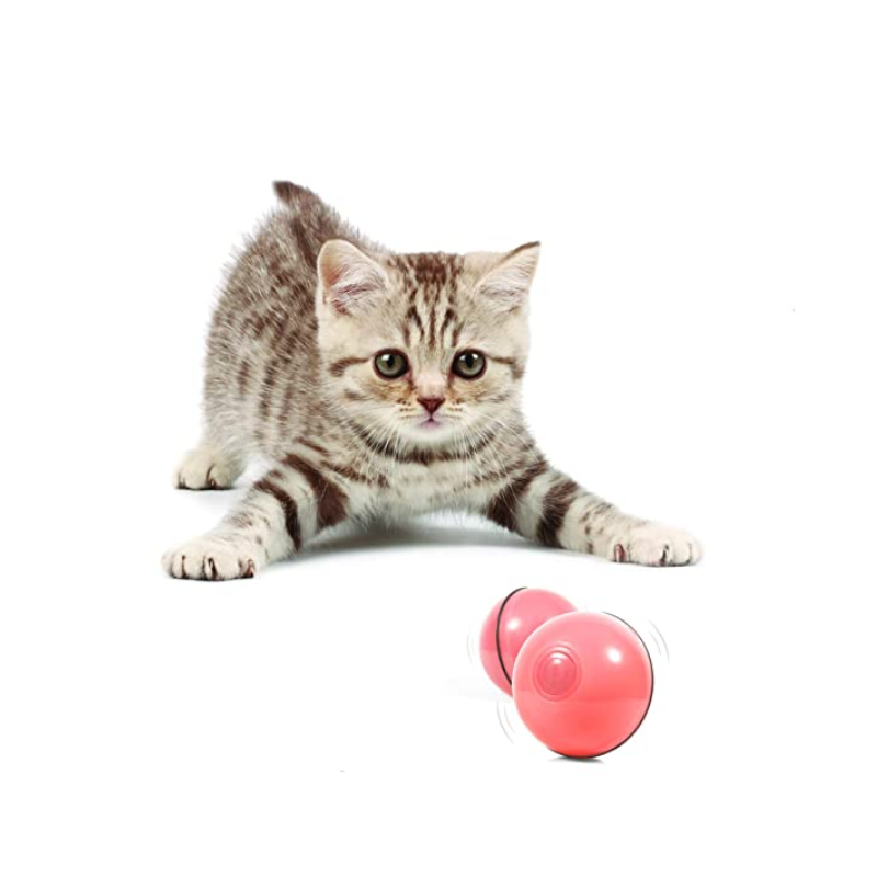 icono portada de juguetes y accesorios gatos