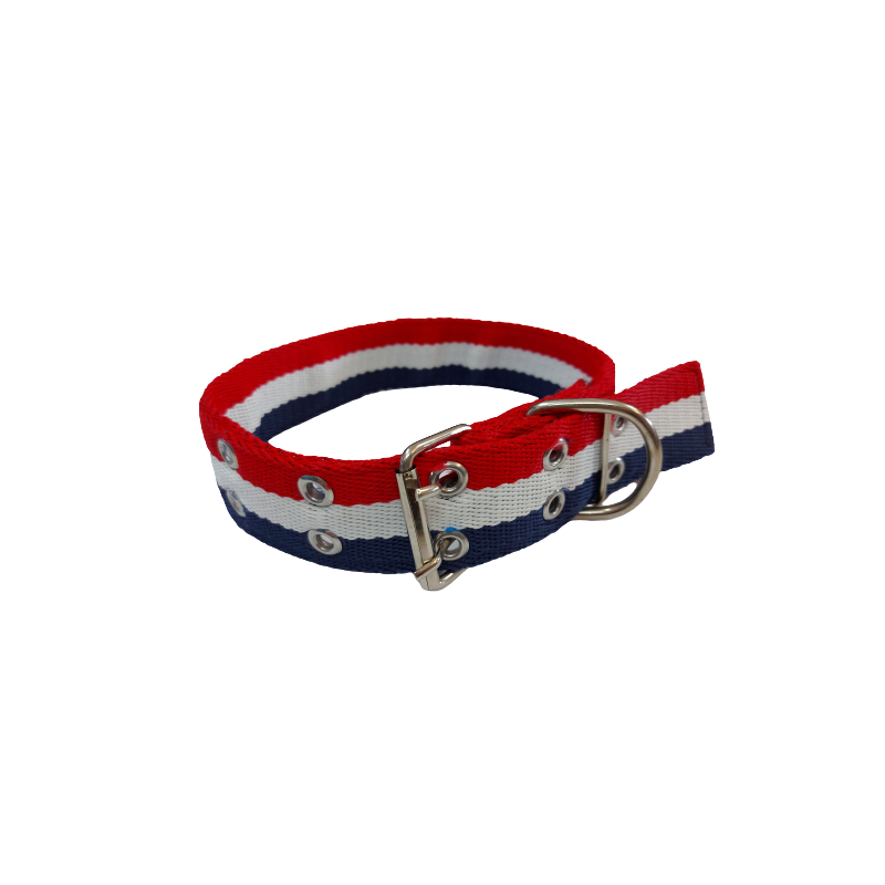 juguete perro 9