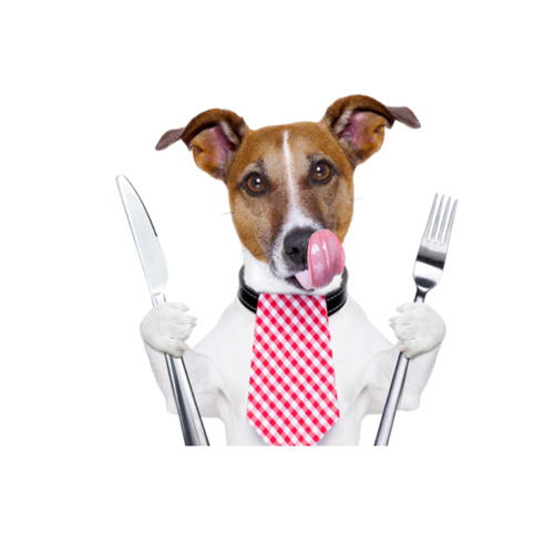 icono portada de alimentos y snacks perros
