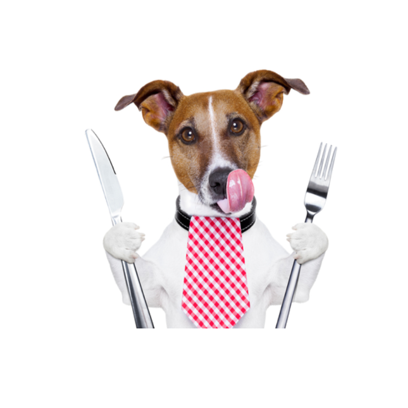 icono portada de alimentos y snacks perros