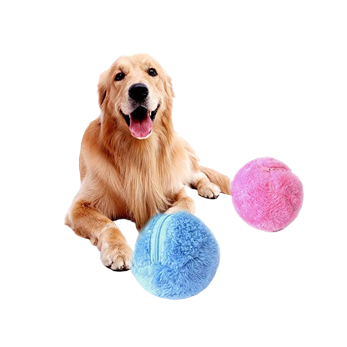 icono portada de juguetes y accesorios perros