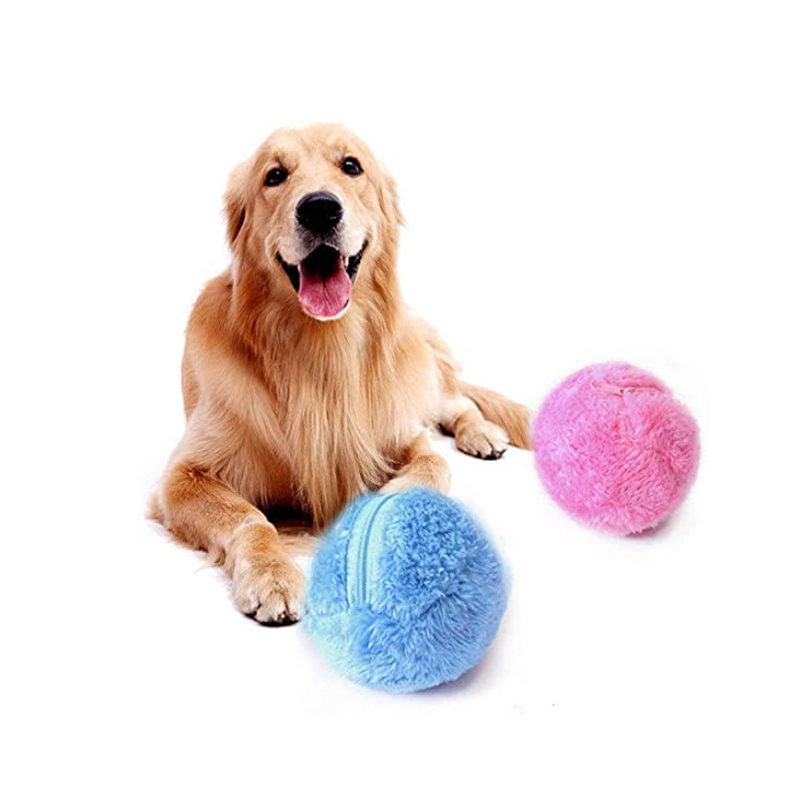 icono portada de juguetes y accesorios perros